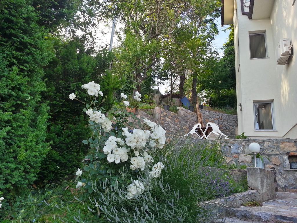Apartment Maslov Ohrid